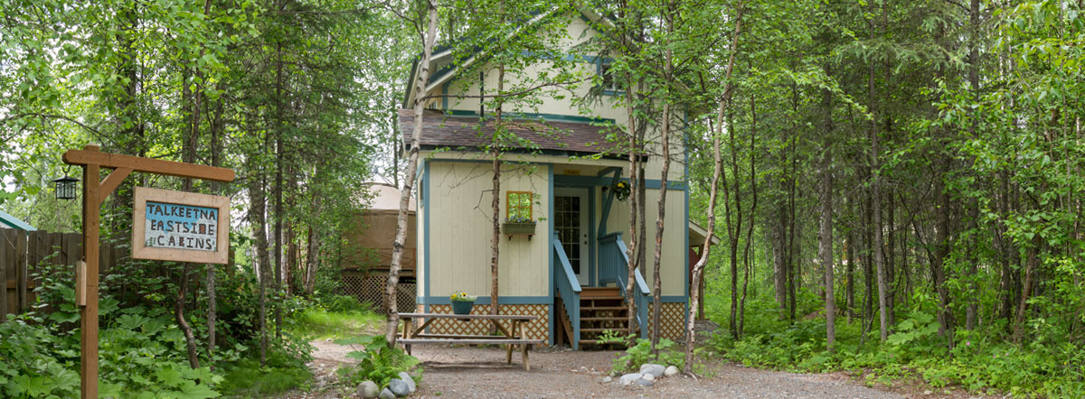 Charming Cabin in Talkeetna