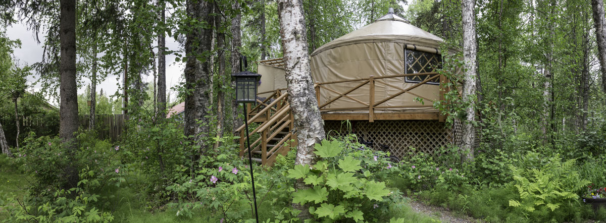 The landscaped area and path outside the yurt